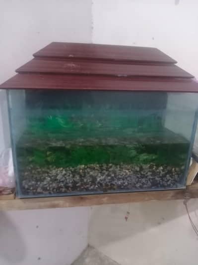 aquarium