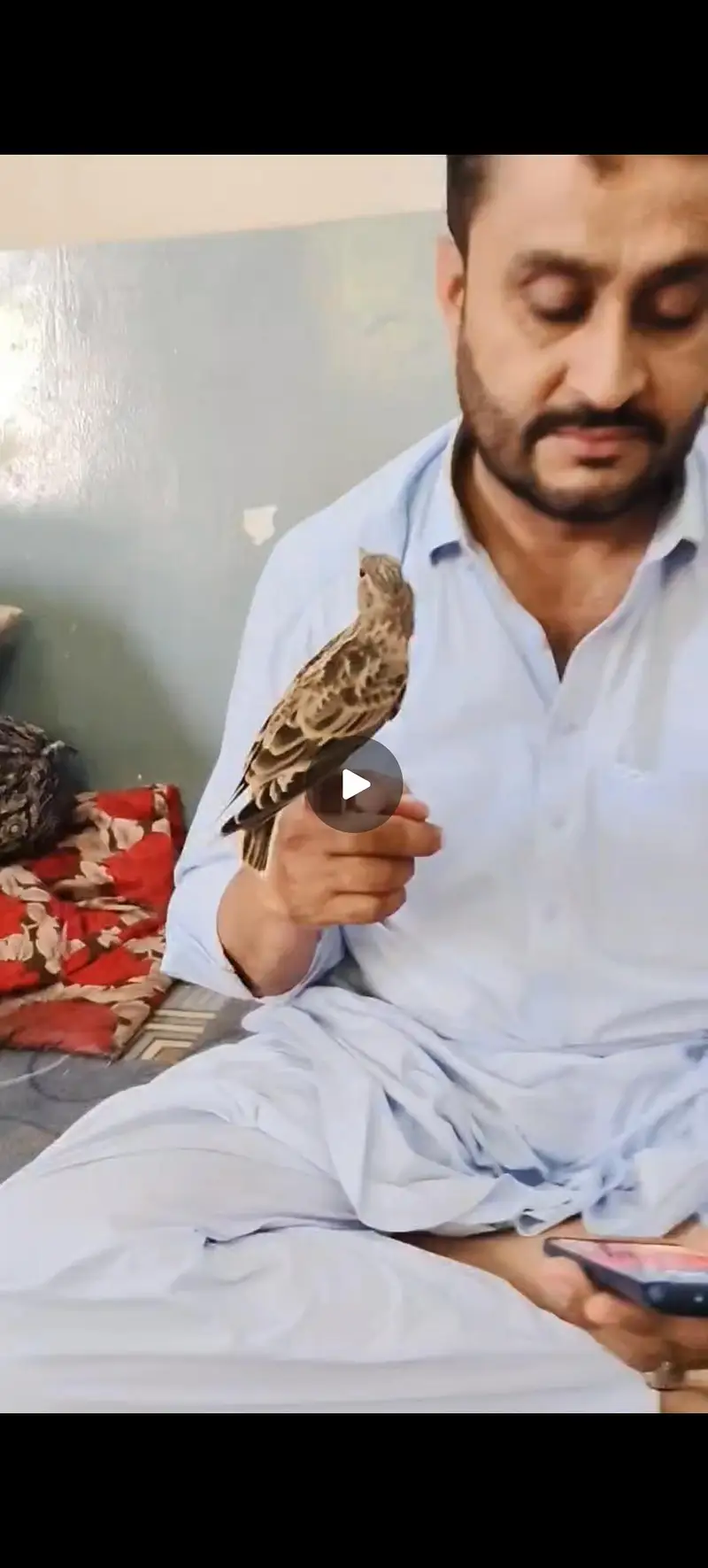 Irani jhal — photo 4