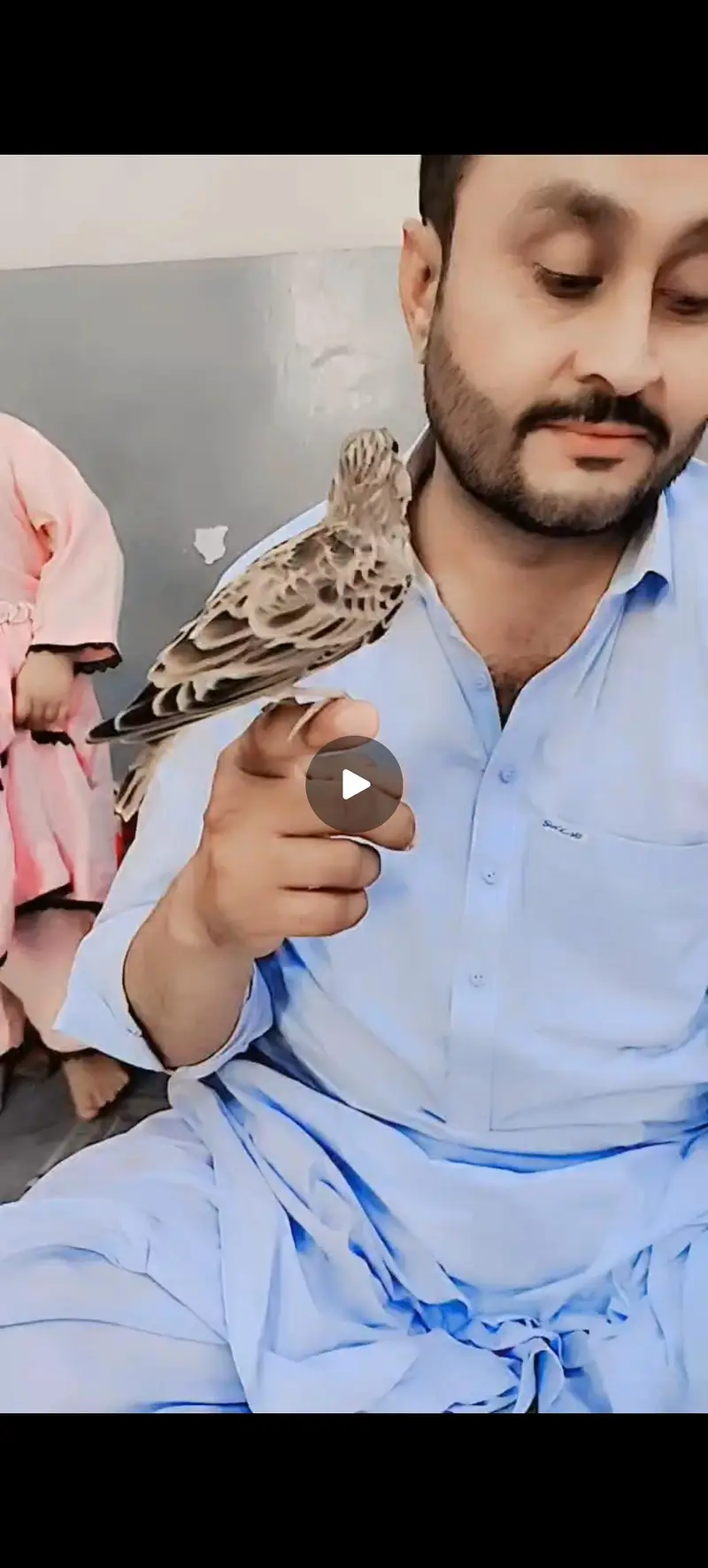 Irani jhal — photo 6