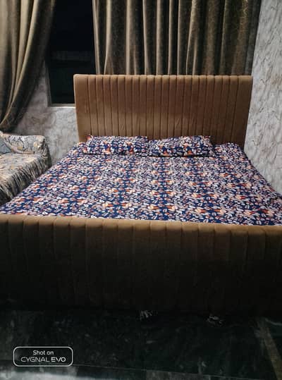 contact: 03057271131