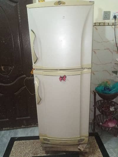 Fridge