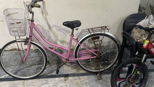 Cycle
