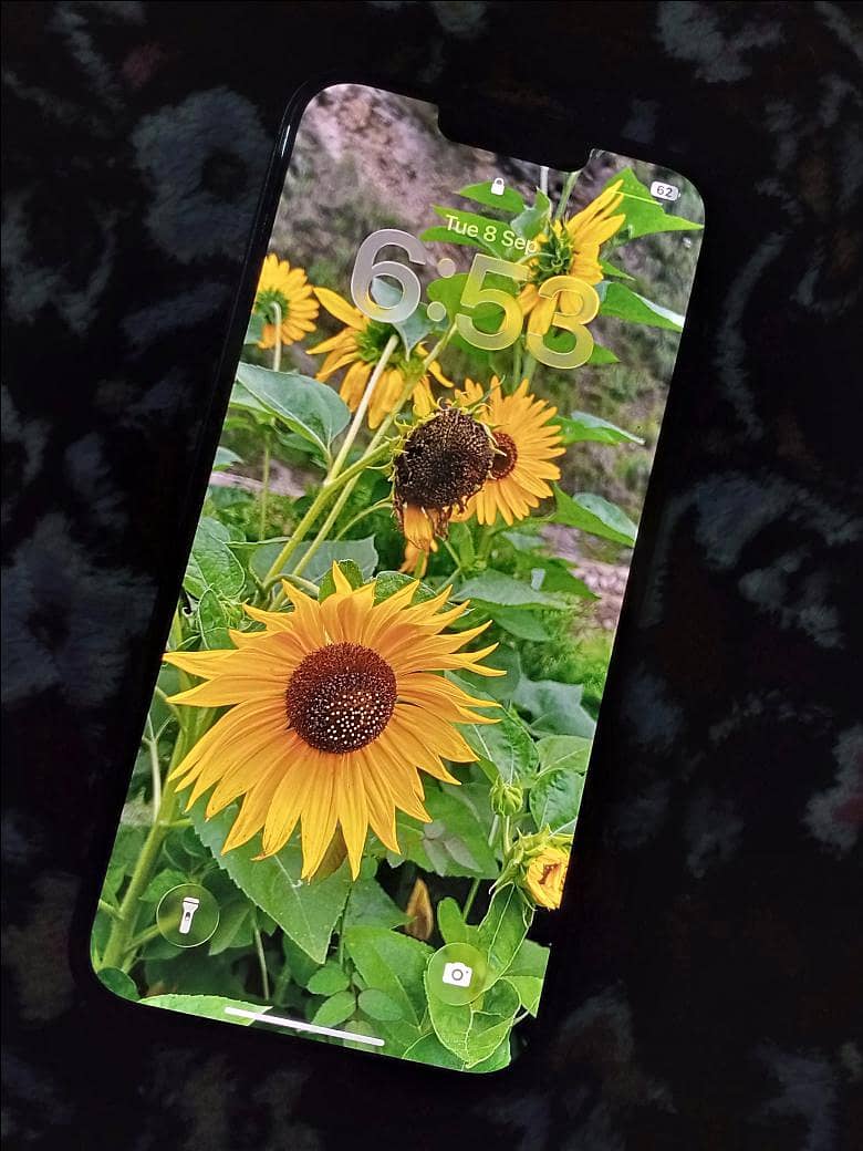 Apple iPhone 14 plus 1