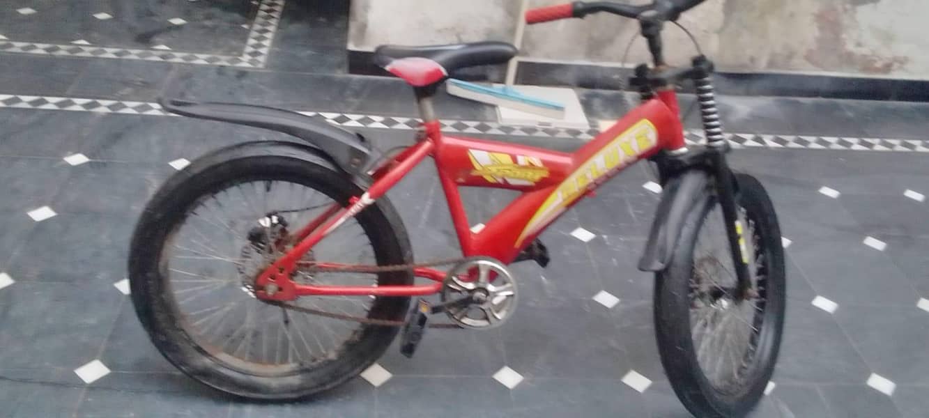 china cycle 2