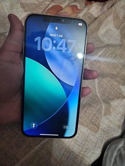 Apple iPhone 12 Pro Max