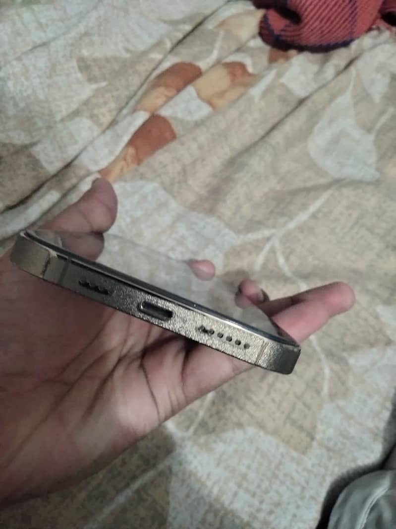 Apple iPhone 12 Pro Max 2