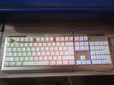 RGB Mechanical Keyboard Wired for PC
