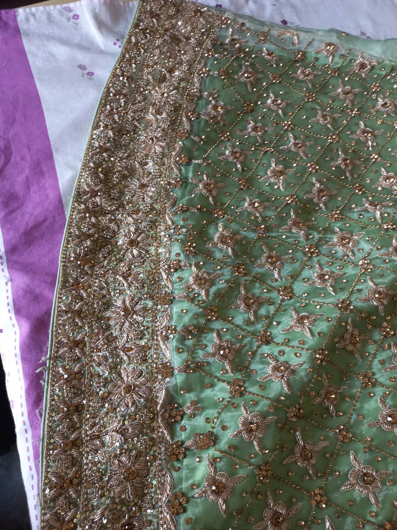 Valima Lehnga 6