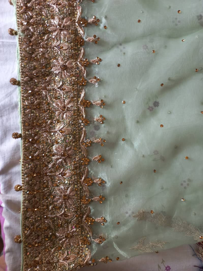 Valima Lehnga 9