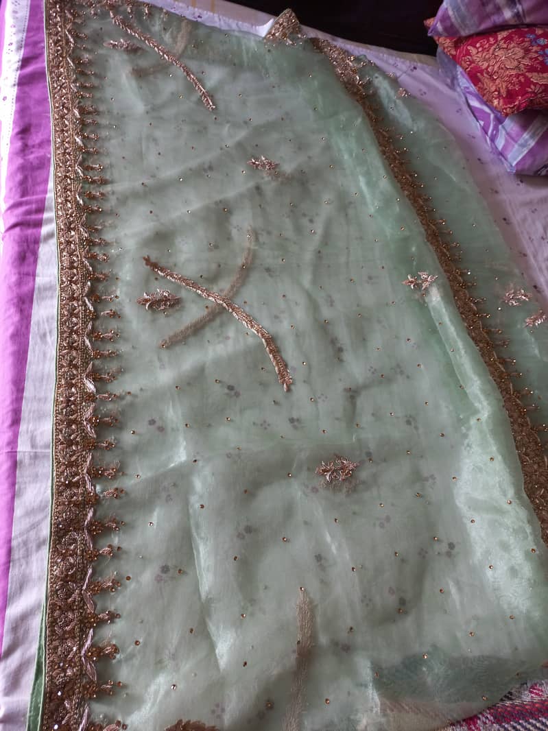 Valima Lehnga 10