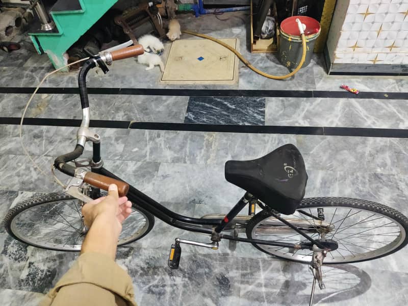Bicycle 2