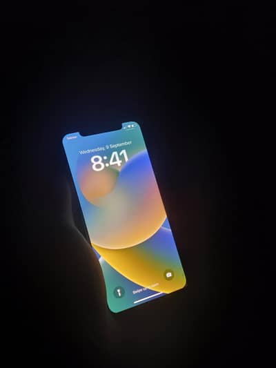 Apple iPhone X