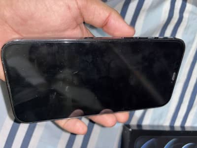 Apple iPhone 12 Pro Max