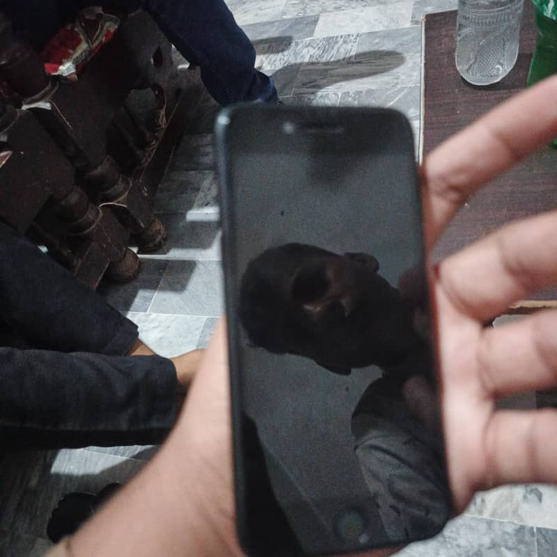 Apple iPhone 7 1