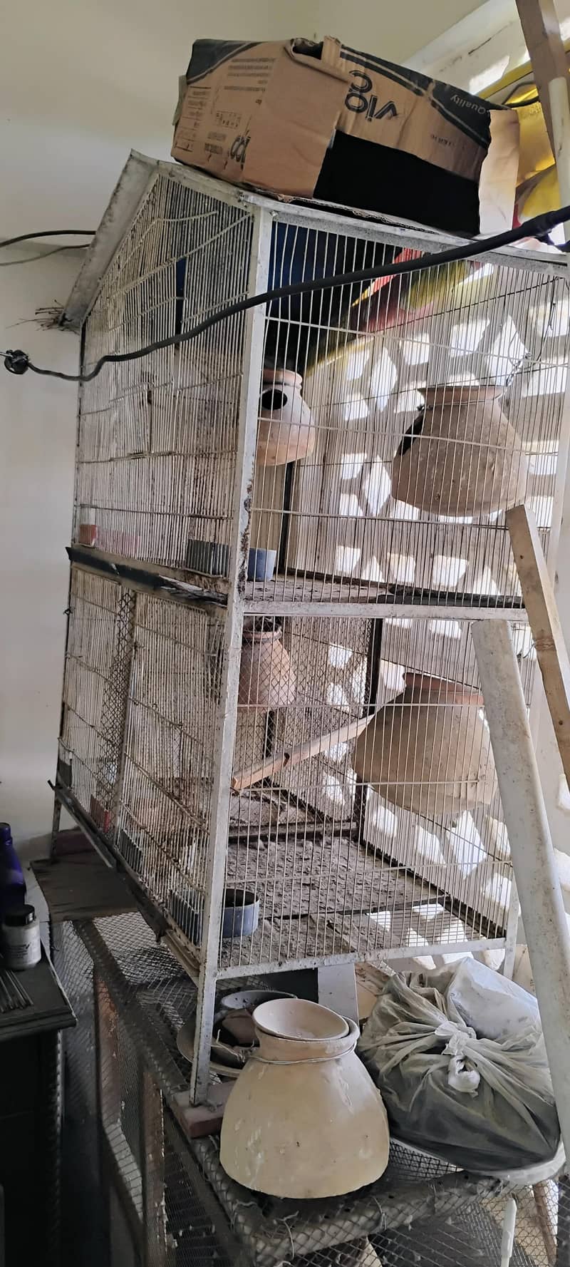 cage 3 portion 1