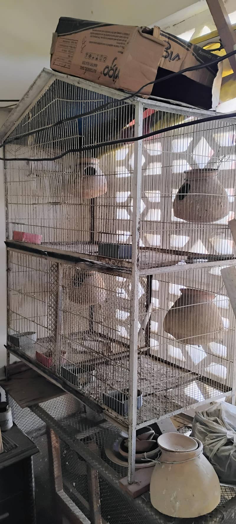 cage 3 portion 2