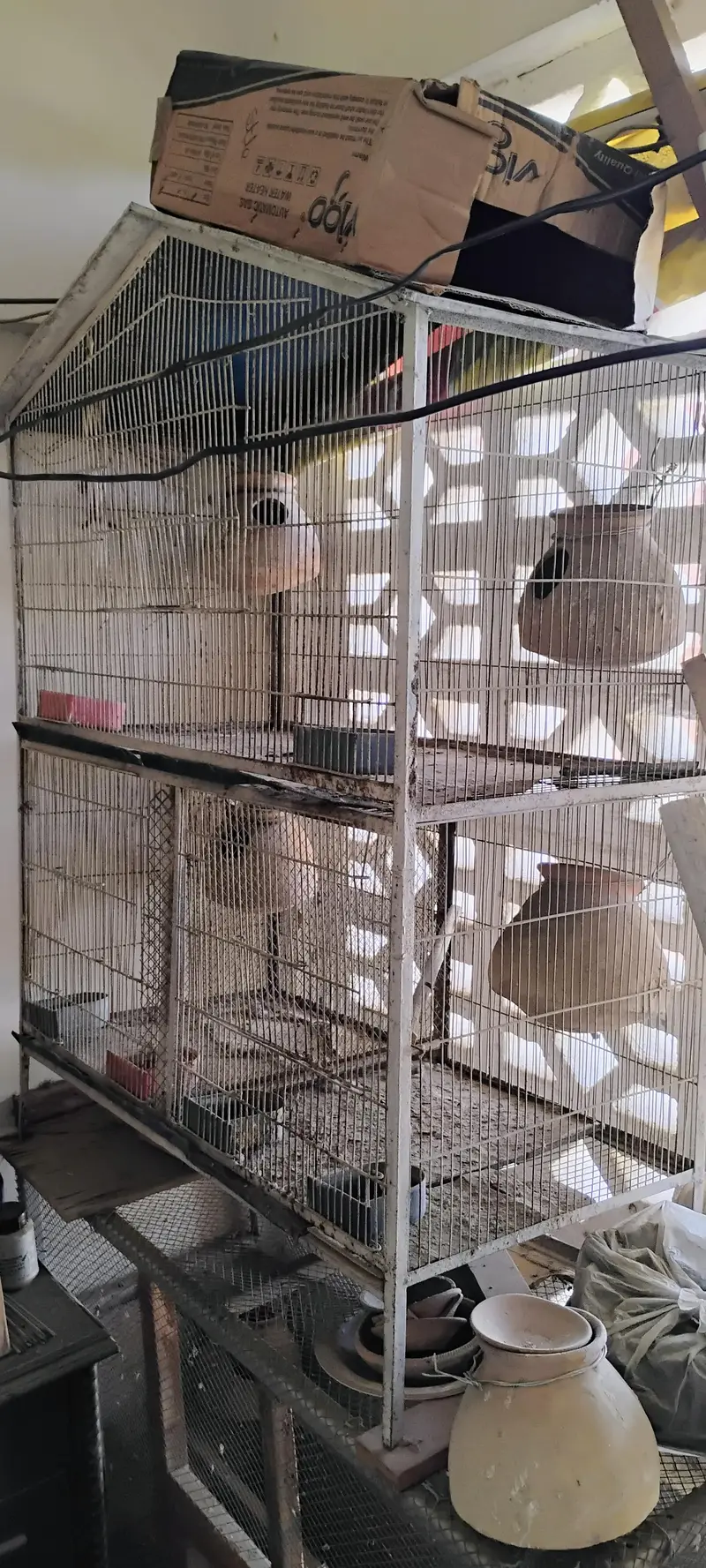 cage 3 portion — photo 3