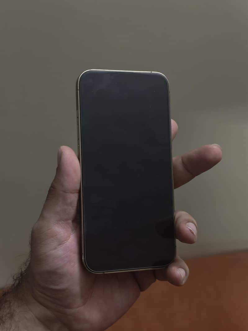 Apple iPhone 13 Pro 3