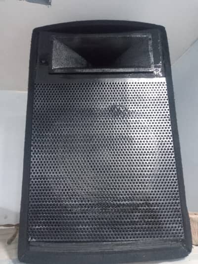 12 inch speakers pair