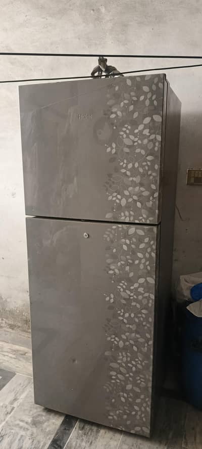 Haier fridge