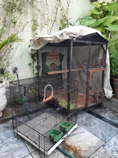 2 Bird Cages for Sale – Large & Medium Size | Good Condition