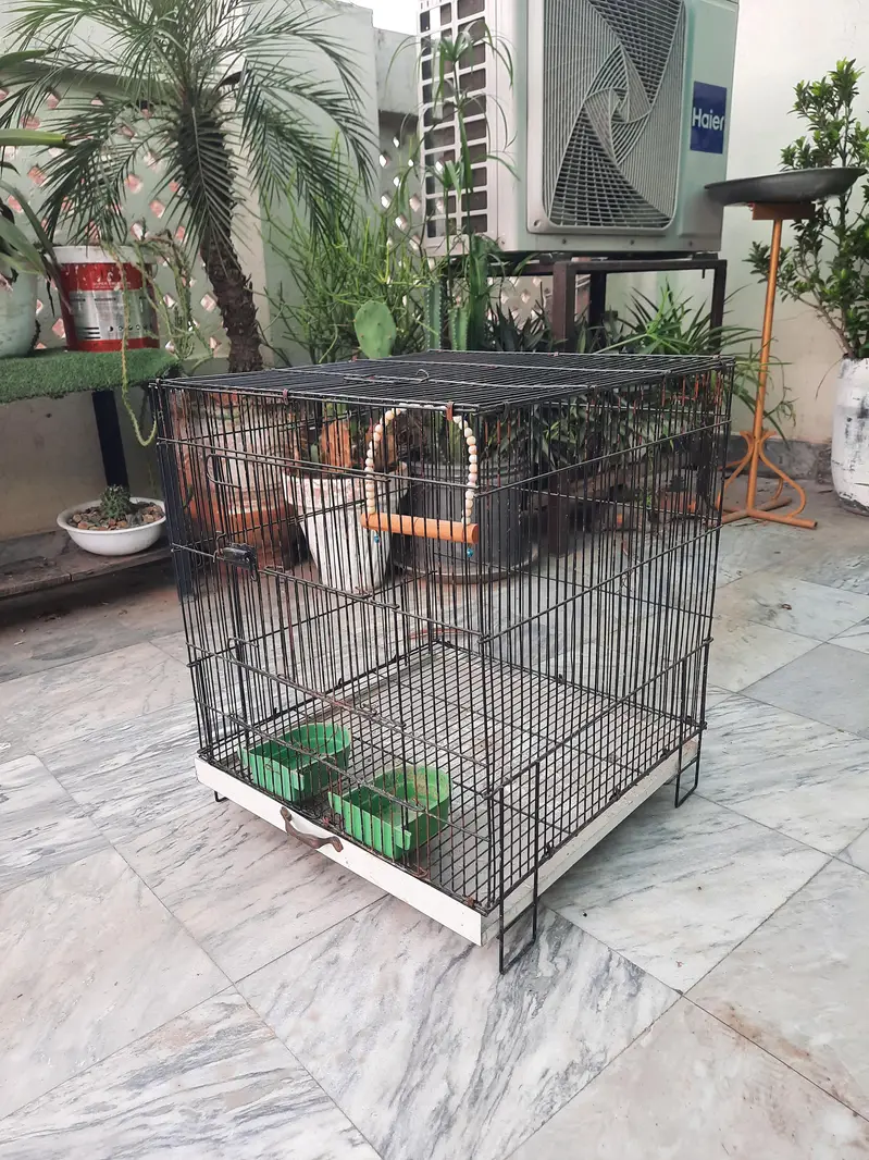 2 Bird Cages for Sale – Large & Medium  | Good Condition 03487242138 — photo 2