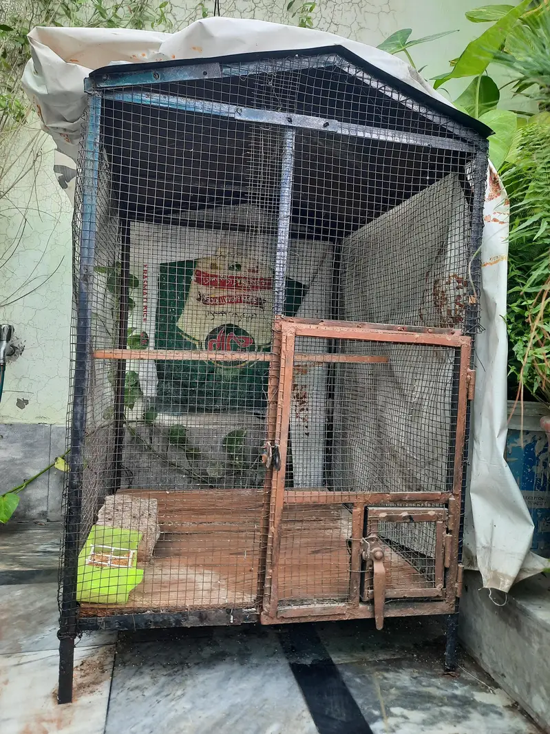 2 Bird Cages for Sale – Large & Medium  | Good Condition 03487242138 — photo 3