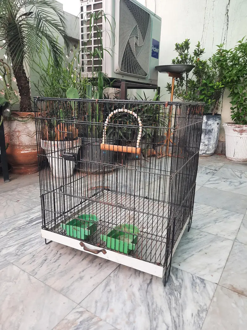 2 Bird Cages for Sale – Large & Medium  | Good Condition 03487242138 — photo 5