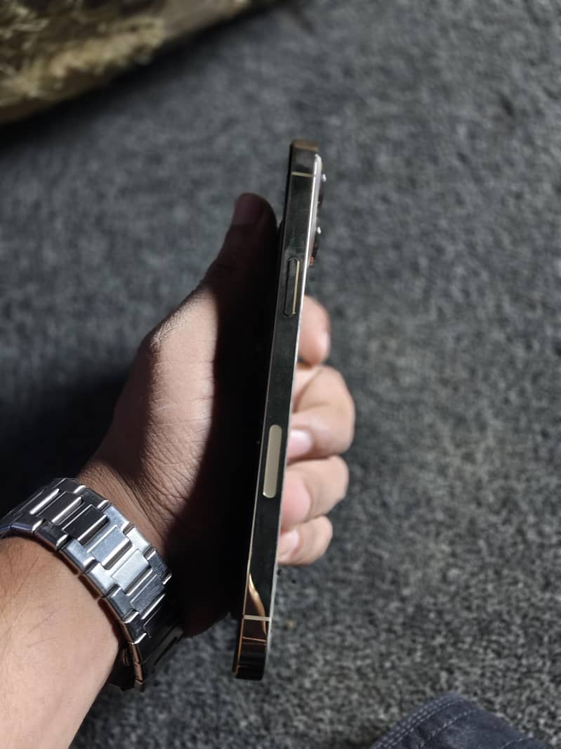 Apple iPhone 13 Pro Max 0