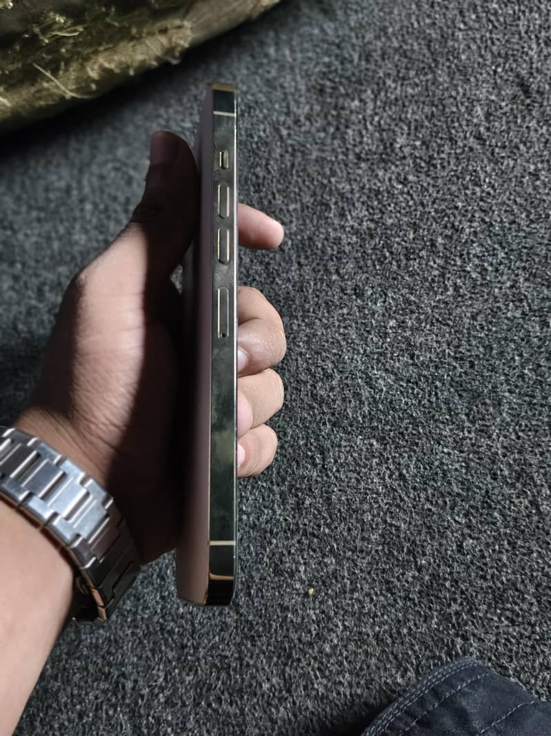 Apple iPhone 13 Pro Max 1