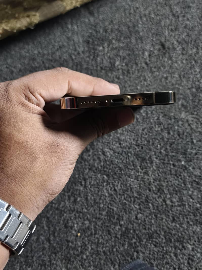 Apple iPhone 13 Pro Max 2