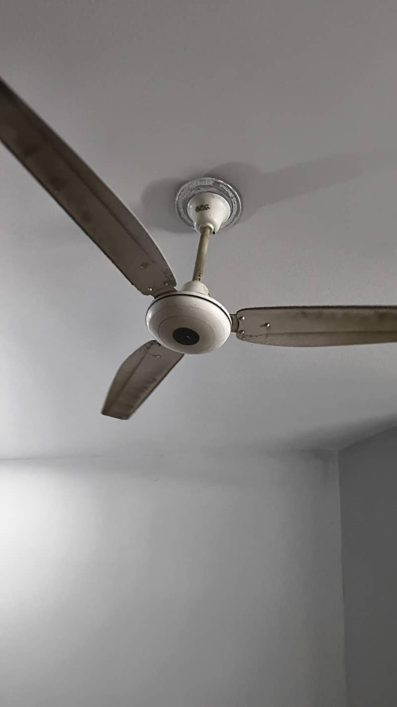 ceiling fans 1