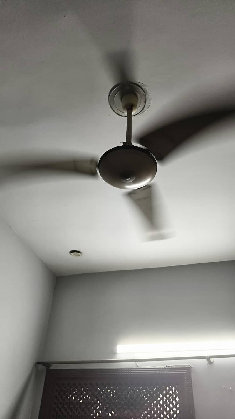 ceiling fans 2