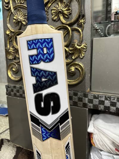 Kashmir Willow Cricket Bat