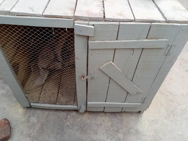 cages 3