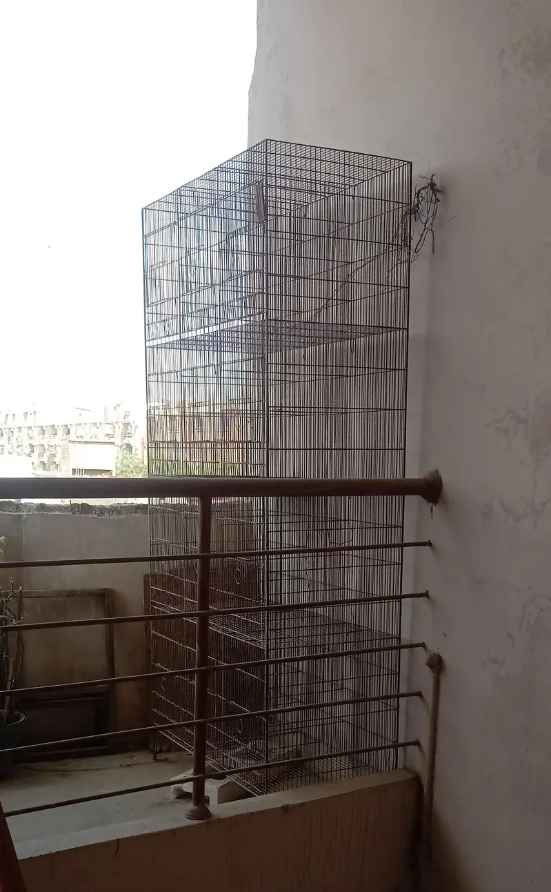 2 CAGES full size/8/12Course meal — photo 3