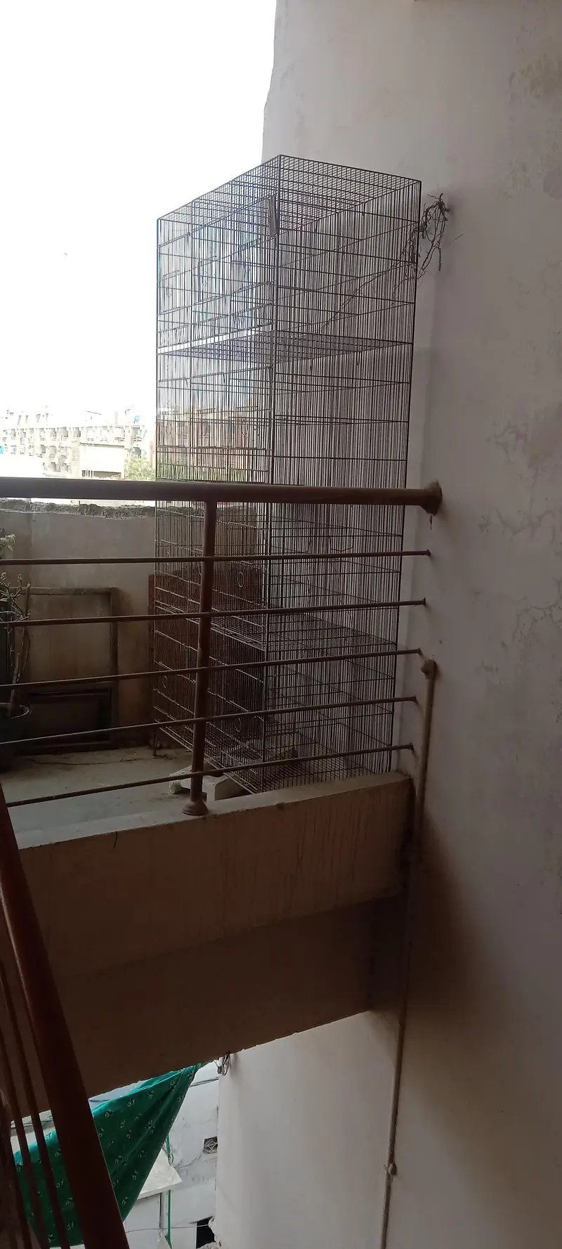 2 CAGES full size/8/12Course meal — photo 4