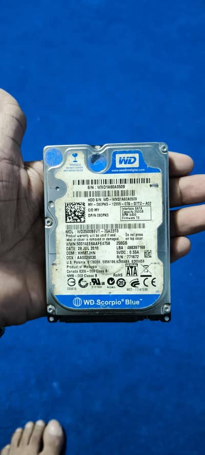 WD Laptop Hard Drive 250GB