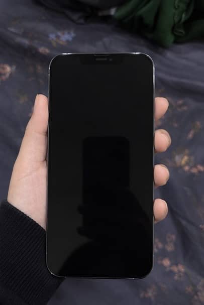 Apple iPhone 13 Pro Max 0