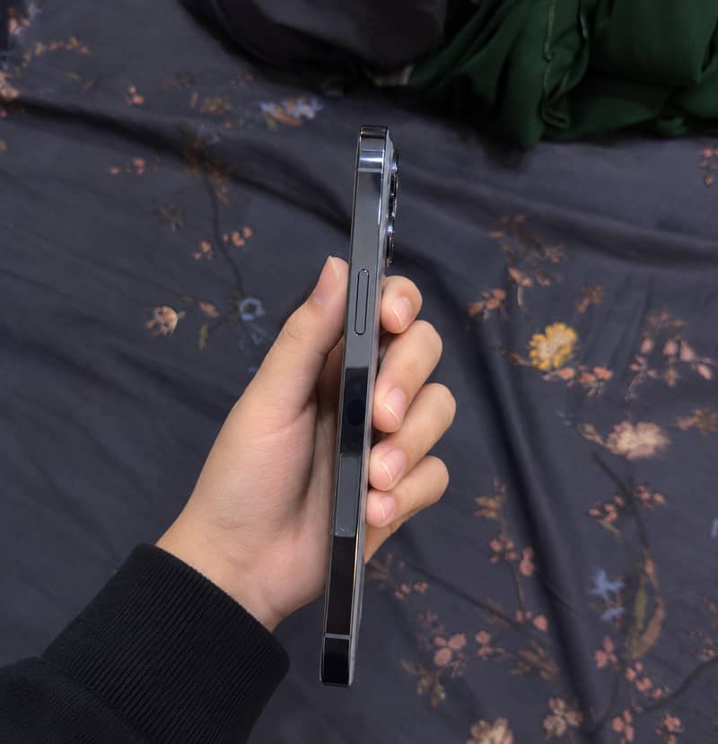 Apple iPhone 13 Pro Max 1