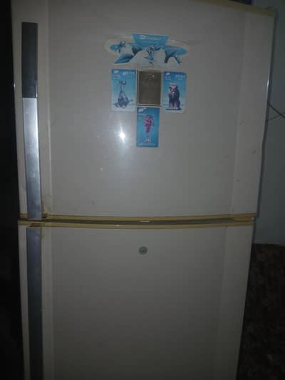 Dowlance fridge for sail