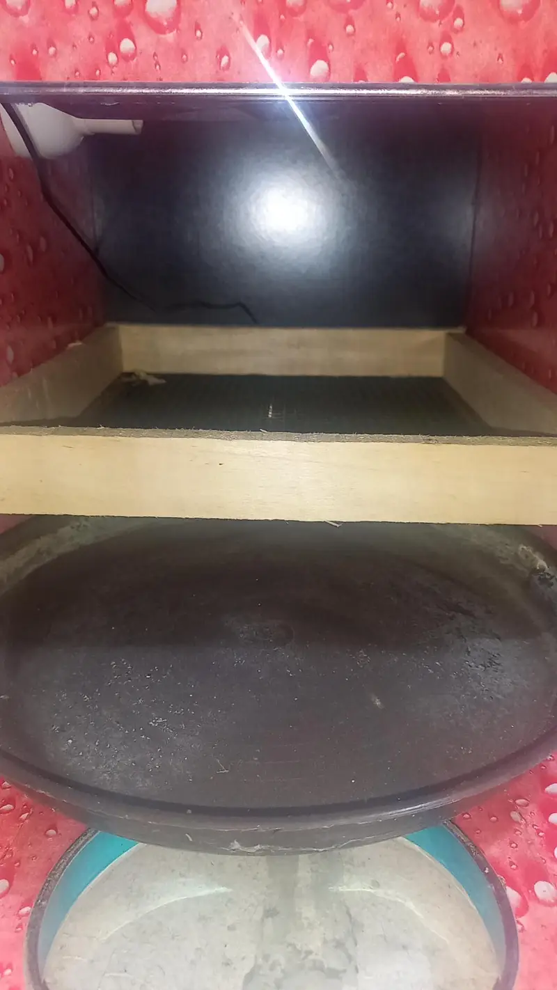 Egg Incubator — photo 4