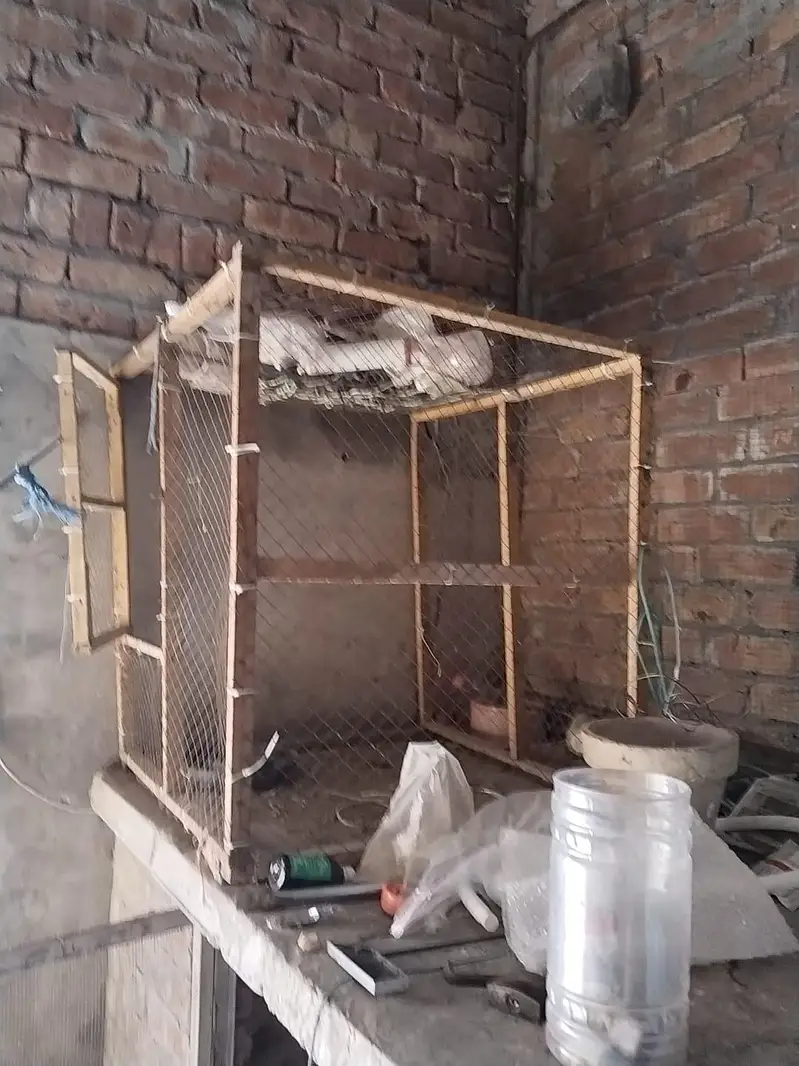 used cage only for 500