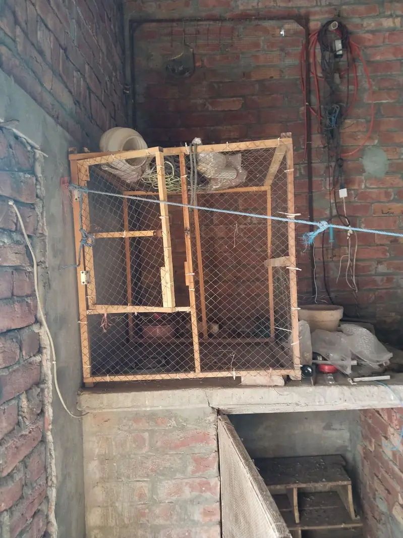 used cage only for 500 — photo 2