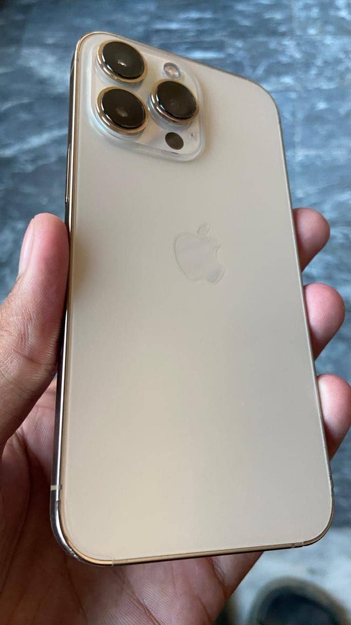 Apple iPhone 13 Pro 1