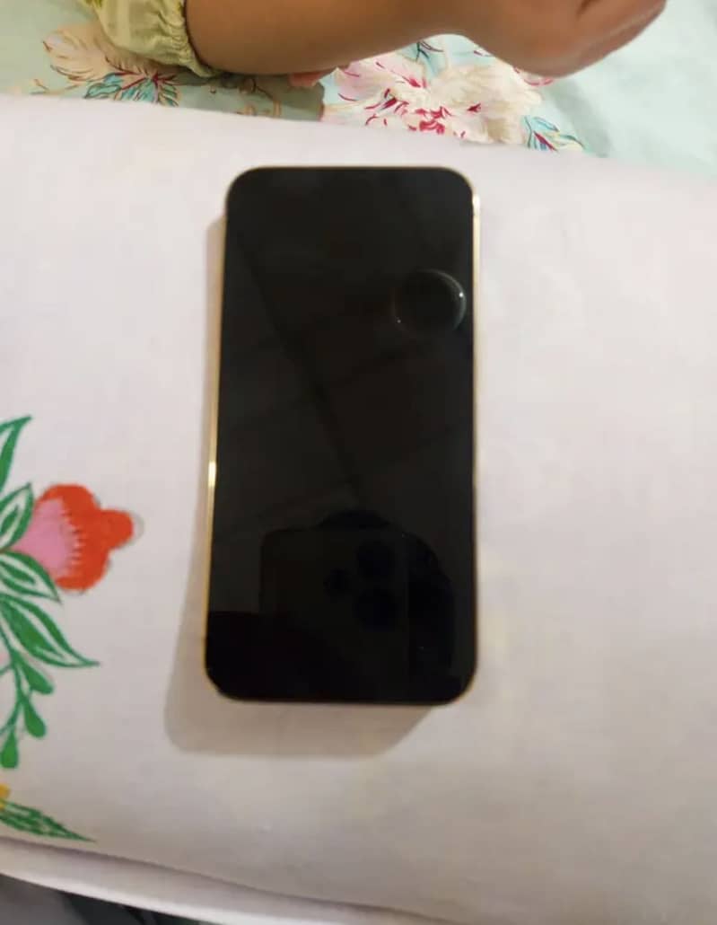 Apple iPhone 13 Pro 2