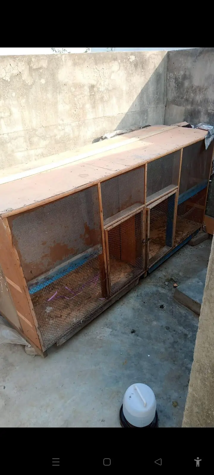 wooden cage — photo 2