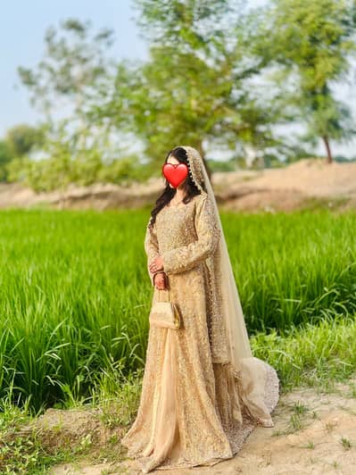 Walima dress