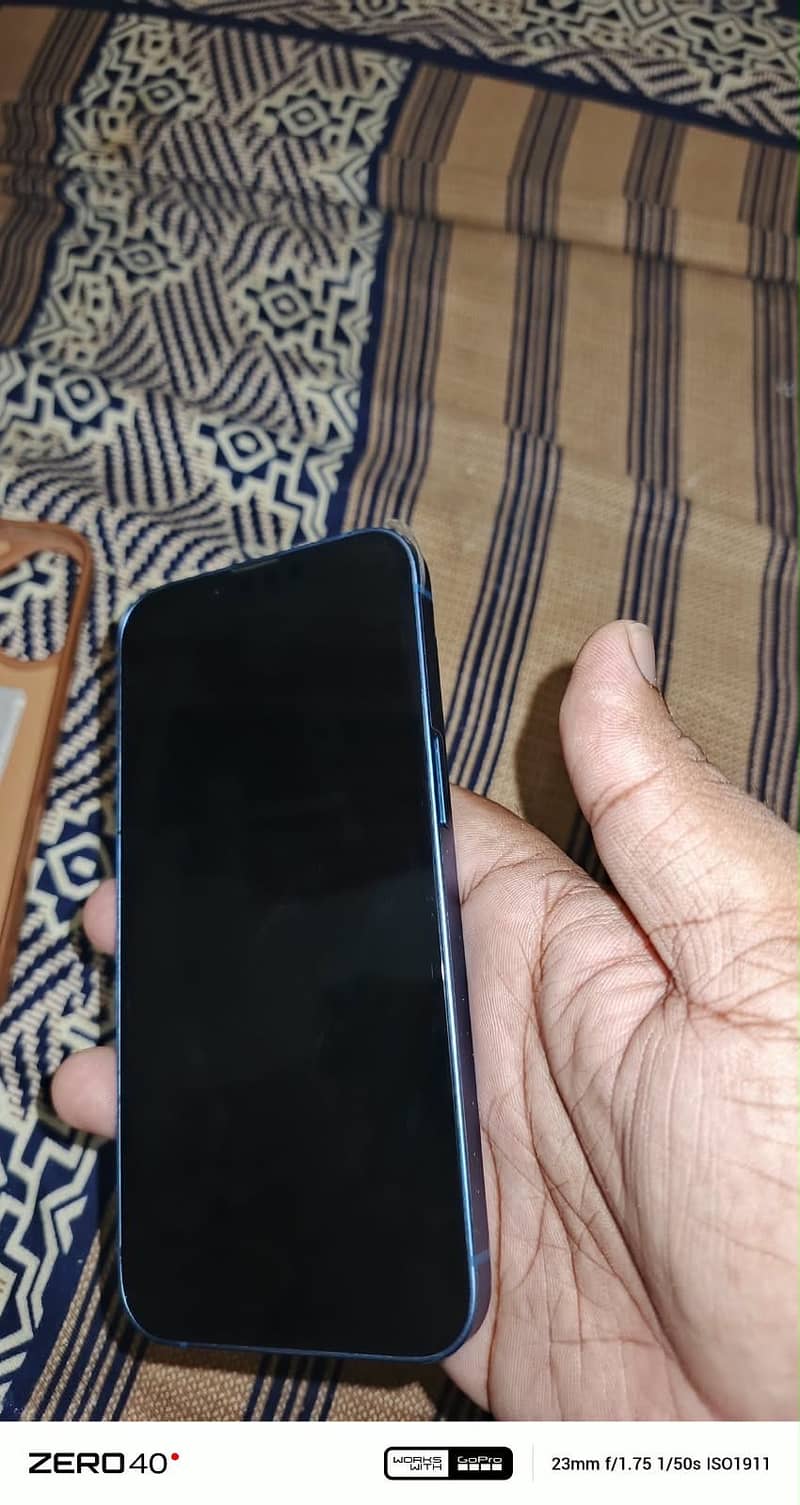 Apple iPhone 13 0