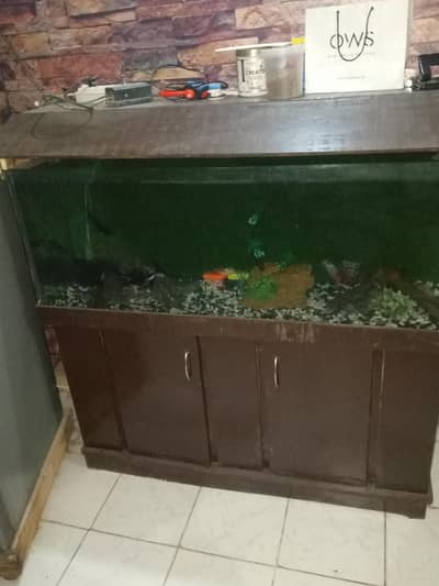 4 feet fish aquarium